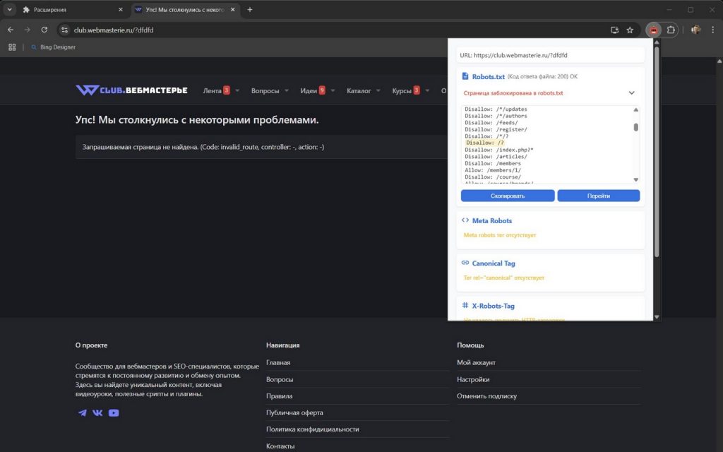 Плагин Robots Viewer для Chrome