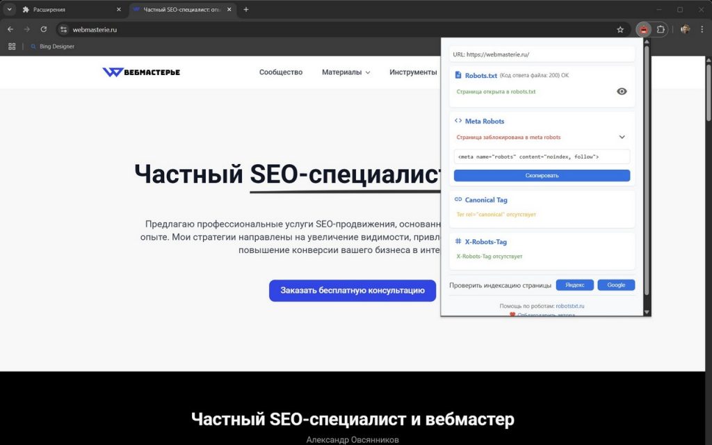 Плагин Robots Viewer для Chrome